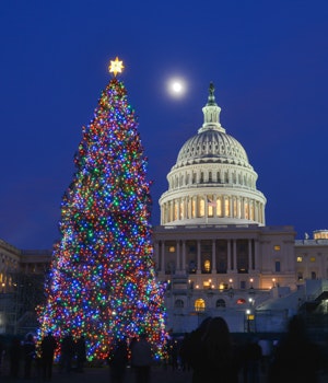 A lit up Christmas tree in the foreground with the Capitol building in the background in Washington DC in the USA