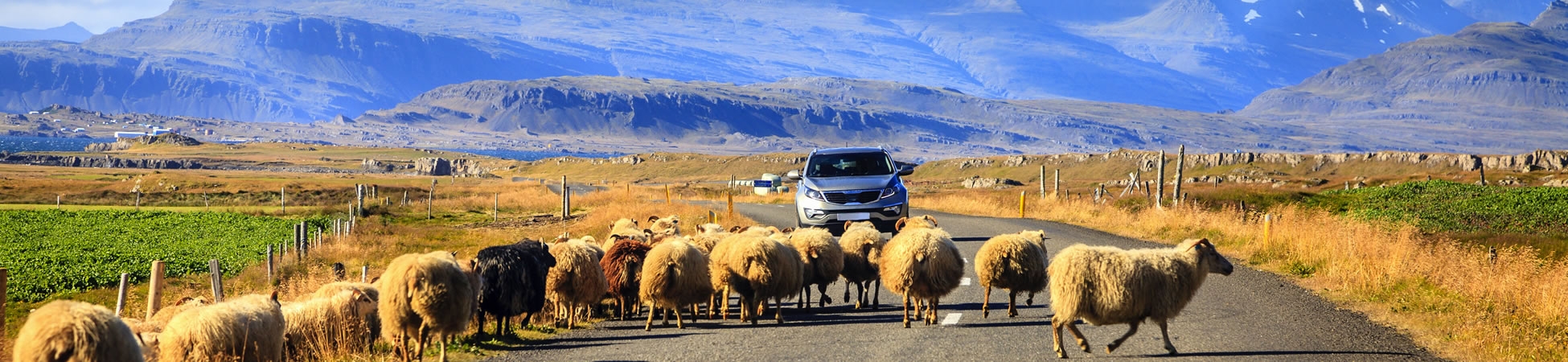 Driving in Iceland