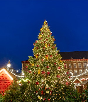 A fully decorated and lit Christmas tree outdoors at night in Düsseldorf